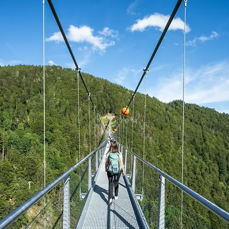 Mitten Auf Dem Panorama Bergglueck * Фельдберг
