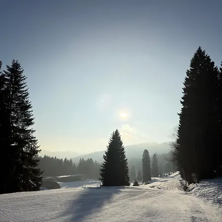 Mitten Auf Dem Panorama Bergglueck Feldberg (Baden-Wurttemberg)