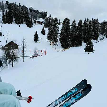 Appartement Mitten Auf Dem Panorama Bergglueck Feldberg (Baden-Wurttemberg)