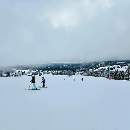 Mitten Auf Dem Panorama Bergglueck *