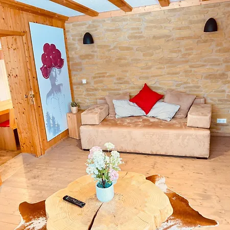 Mitten Auf Dem Panorama Bergglueck Апартаменты Фельдберг