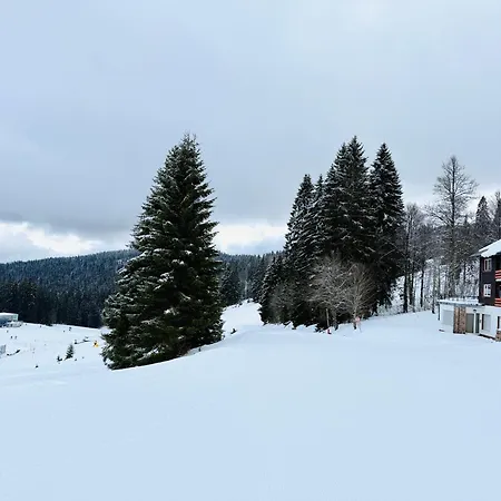 Mitten Auf Dem Panorama Bergglueck * Feldberg (Baden-Wurttemberg)