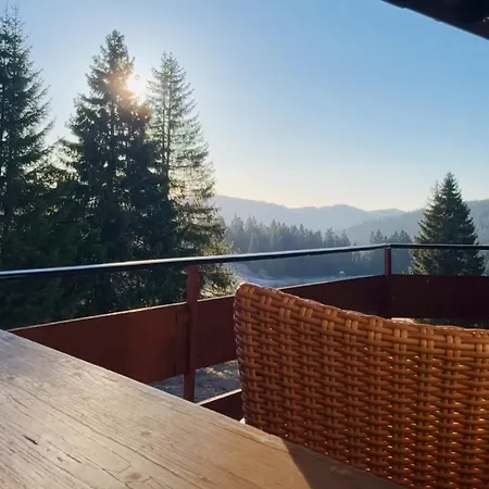 Appartement Mitten Auf Dem Panorama Bergglueck
