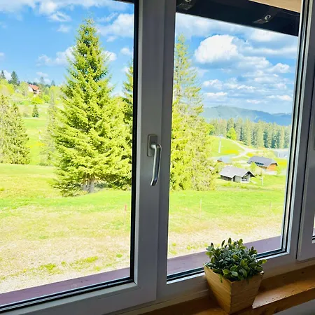 Mitten Auf Dem Panorama Bergglueck Feldberg (Baden-Wurttemberg)