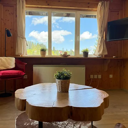 Mitten Auf Dem Panorama Bergglueck Фельдберг