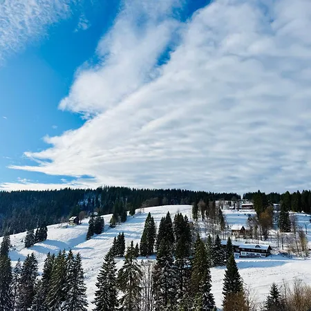 Mitten Auf Dem Panorama Bergglueck Feldberg (Baden-Wurttemberg)