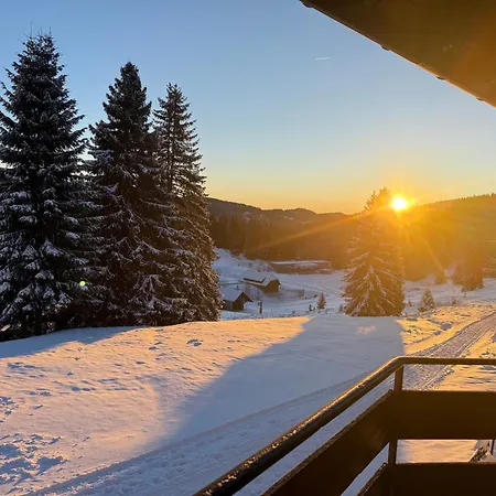 Mitten Auf Dem Panorama Bergglueck Feldberg (Baden-Wurttemberg)